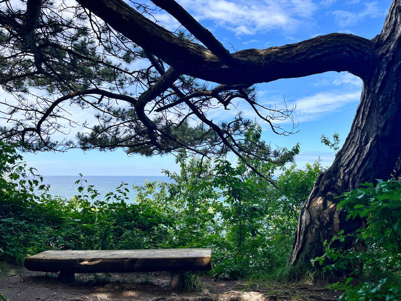 24-07-01 11-36-09 0059